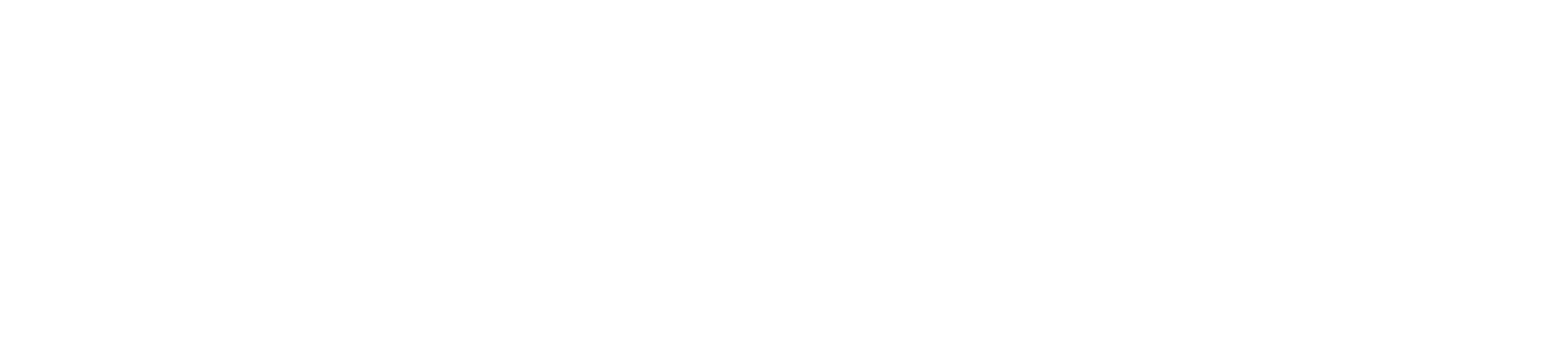 Nywhash White Logo